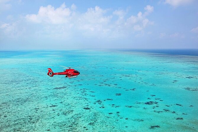 Ultimate Great Barrier Reef and Rainforest 45-minute Helicopter Tour - Aircraft comfort, weight rules, and the small details that affect you
