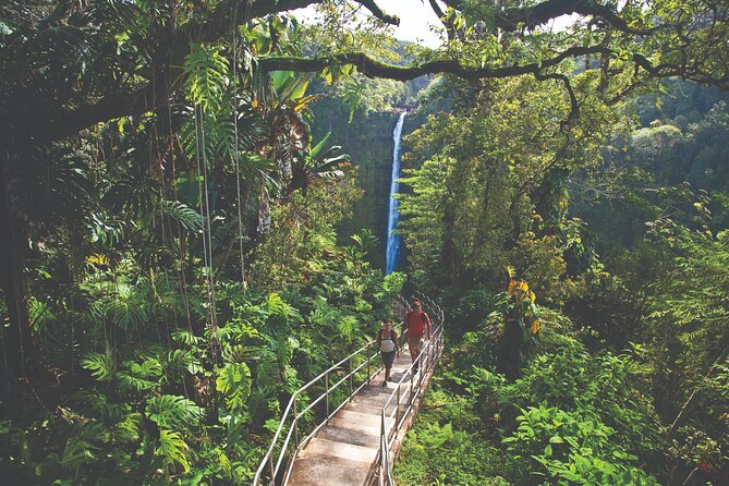 Volcano Adventure: Hilo Sightseeing w/ Optional Helicopter Tour - Starting in Hilo: Banyan Drive and the “Walk of Fame” Feeling