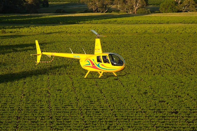 Western Ridge & Valley Floor: 20-Minute Helicopter Flight - Western Ridge & Valley Floor: why 20 minutes in the Barossa is a smart move