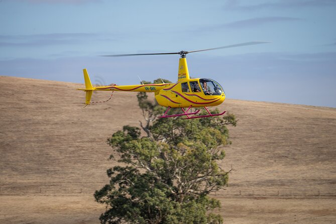 Western Ridge & Valley Floor: 20-Minute Helicopter Flight - Photo moment: taking your own picture right by the helicopter