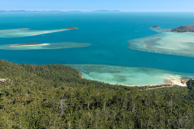 Whitehaven From Above - 30 minute Whitsunday Helicopter Tour - Hill Inlet from the air: the moment the patterns click
